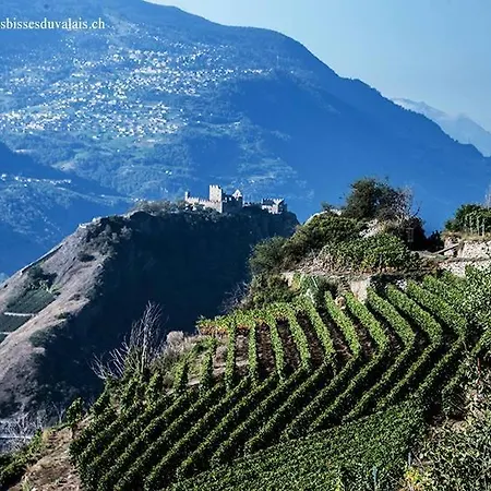 Le Manoir De Champlan Bed & Breakfast Grimisuat