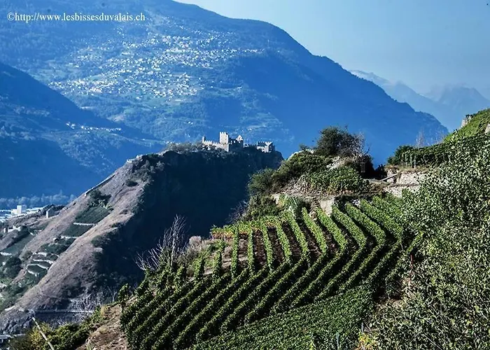 Le Manoir De Champlan Bed & Breakfast Grimisuat