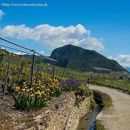 Panzió Le Manoir De Champlan 3*